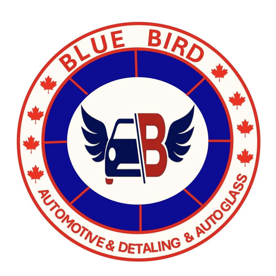 Blue Bird Automotive & Detailing Ltd logo